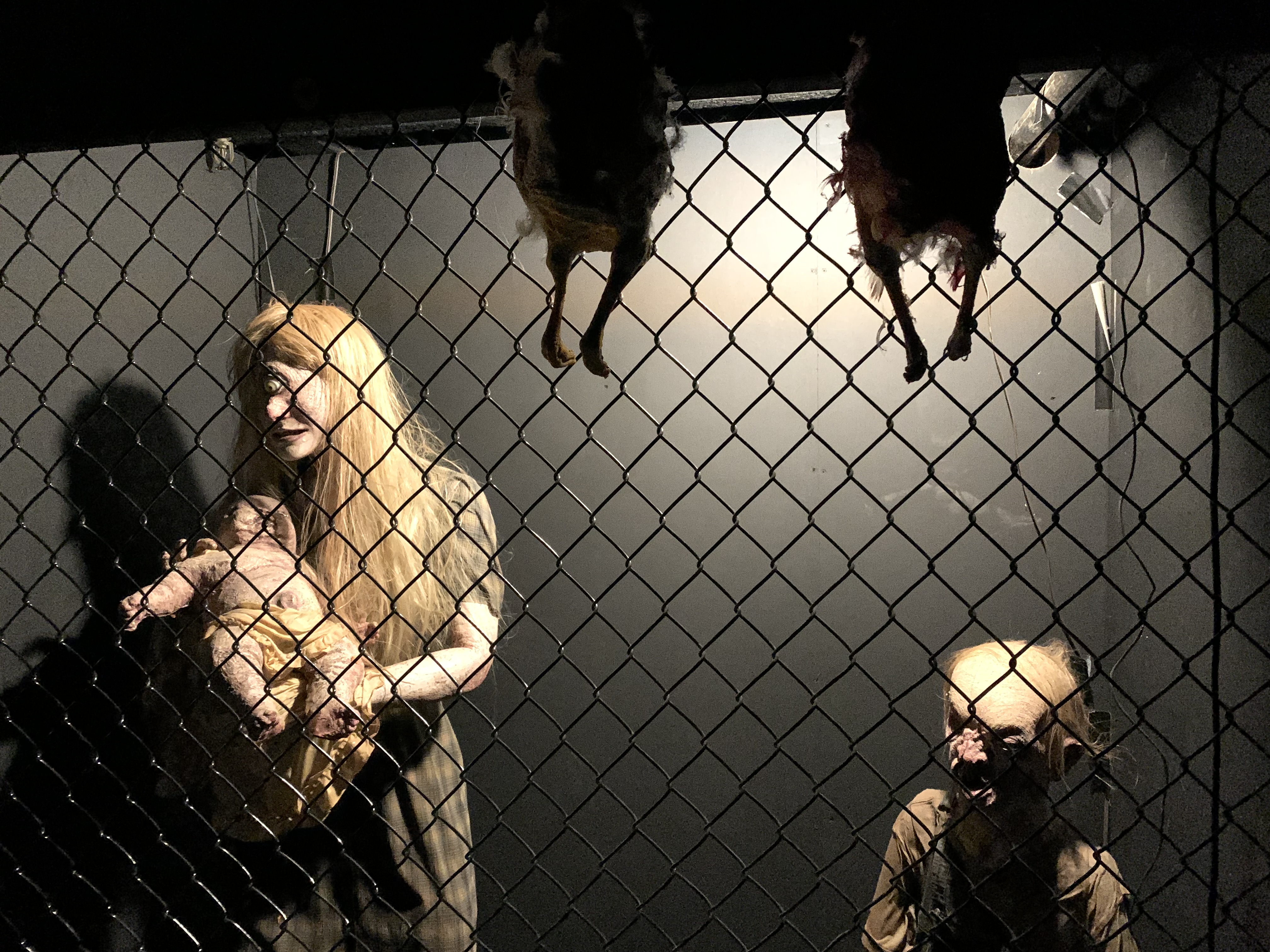 ./2022/06 - St Louis/06 - Day 6/20220526-153718976.JPG